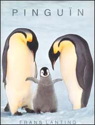 Frans Lanting: Pinguïn