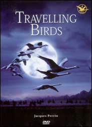 Travelling Birds