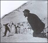 Jean-Baptiste Charcot in gesprek met pinguïns